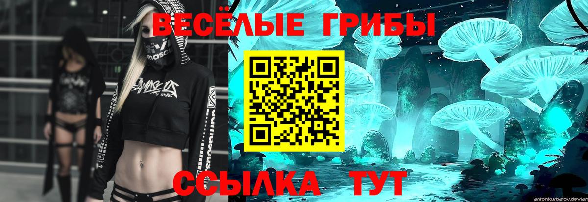Псилоцибиновые грибы мицелий Избербаш