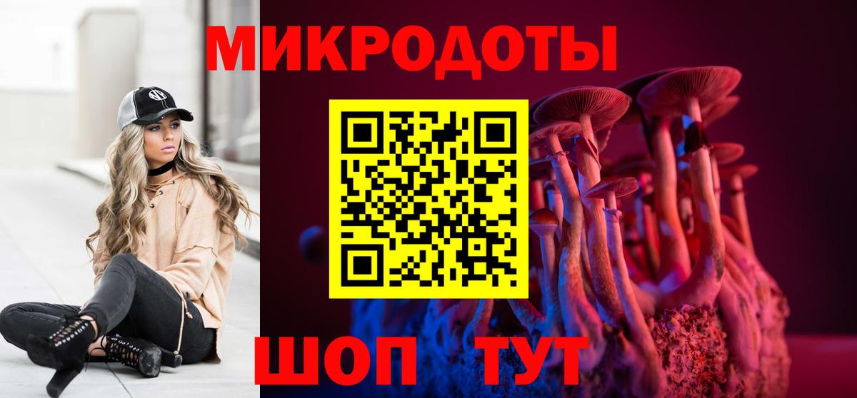 купить наркоту  Вход с VPN  Избербаш  Галлюциногенные грибы Psilocybine cubensis 